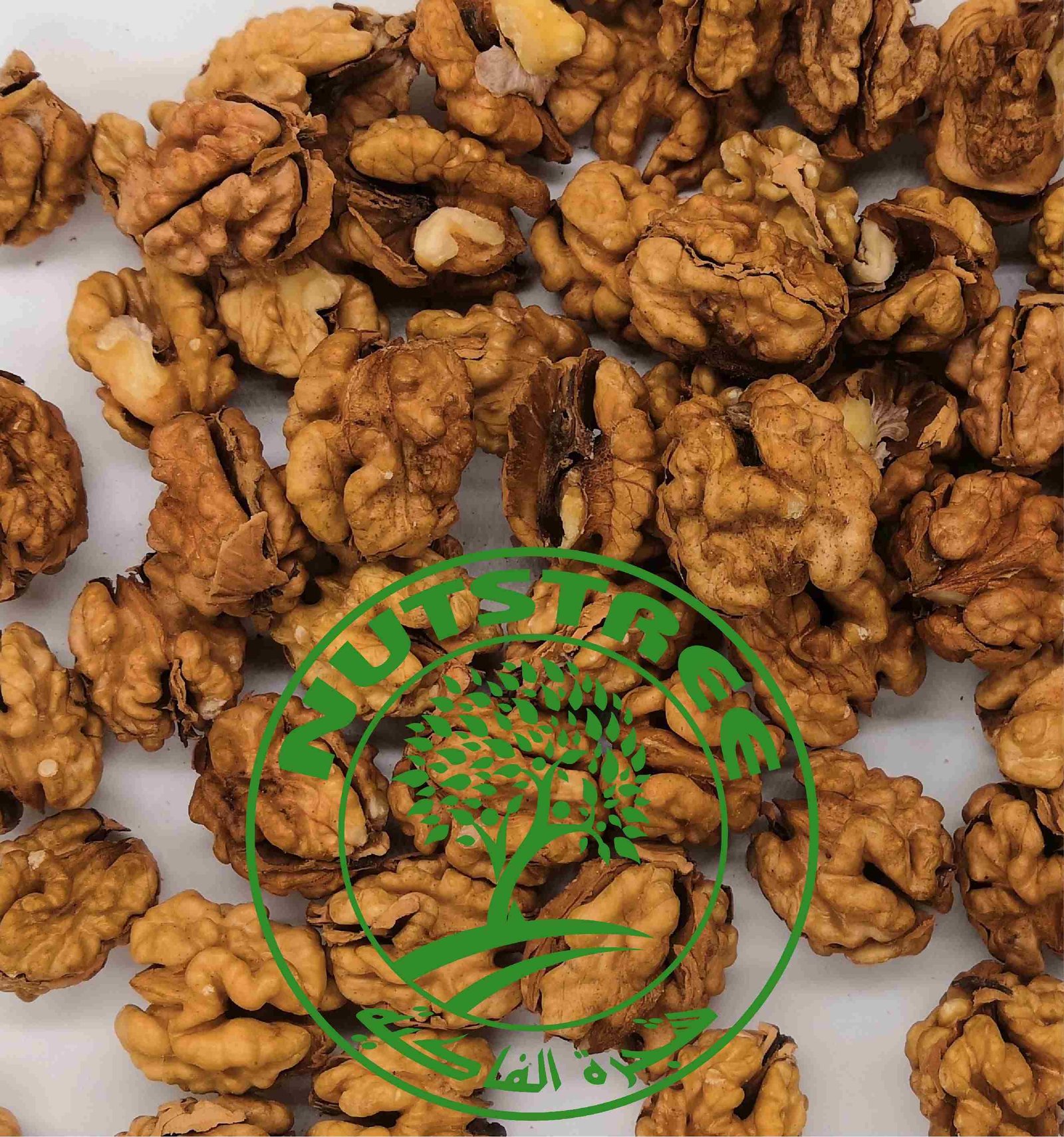 Cerneaux de noix  pépite لب الكركاع  أنصاف