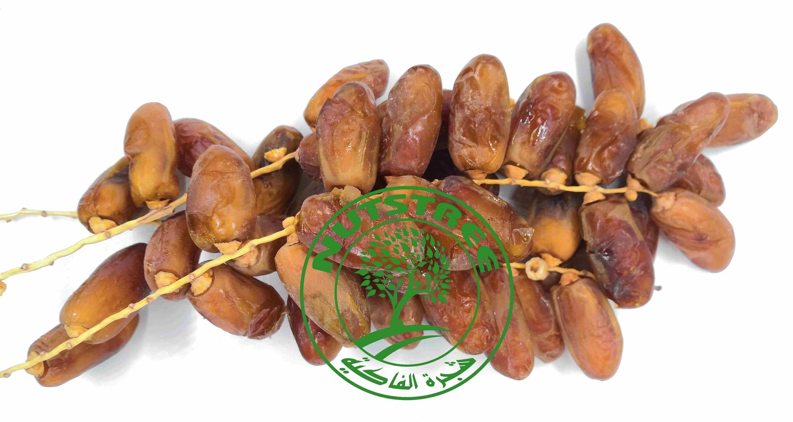 Dattes algériennes تمر الجزائري