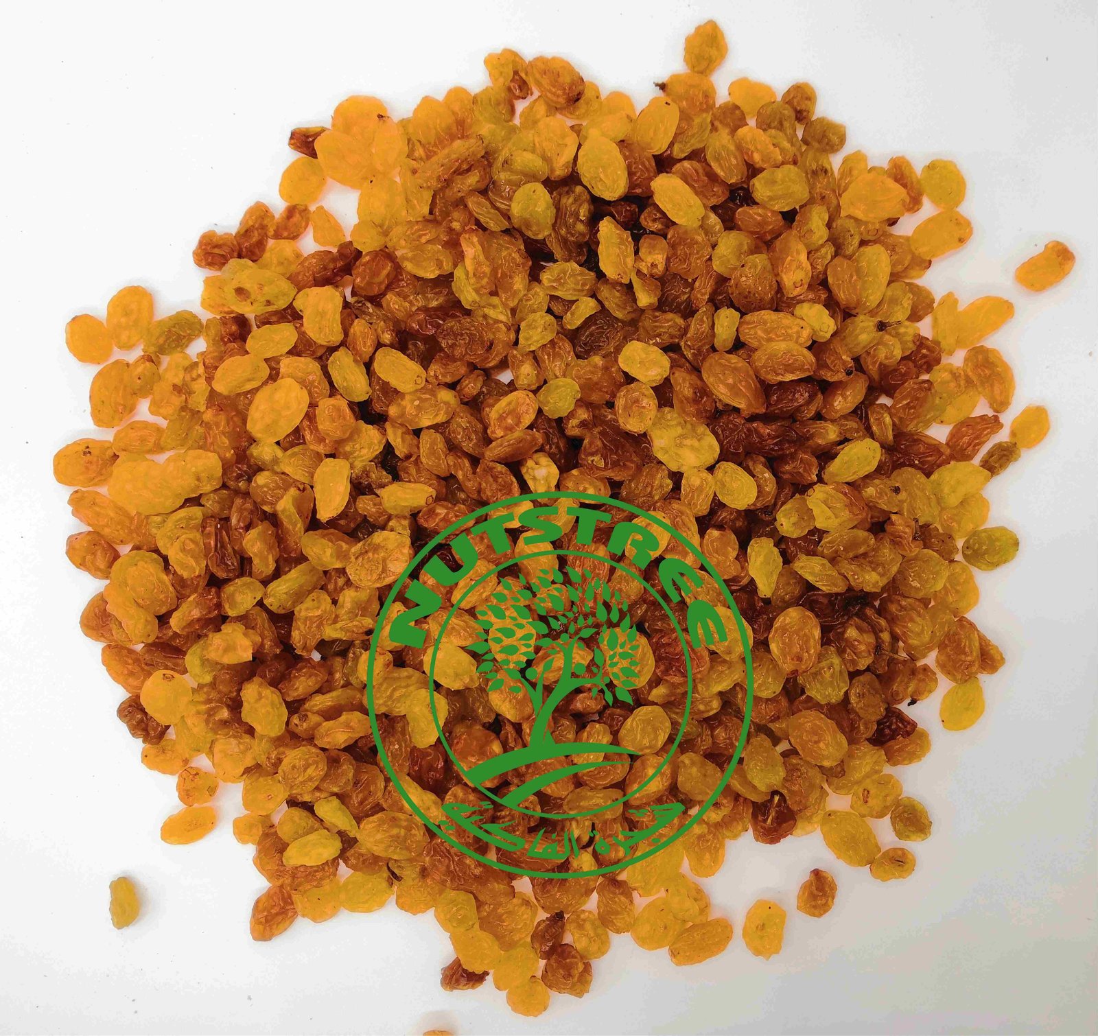 raisin sec golden زبيب صفر